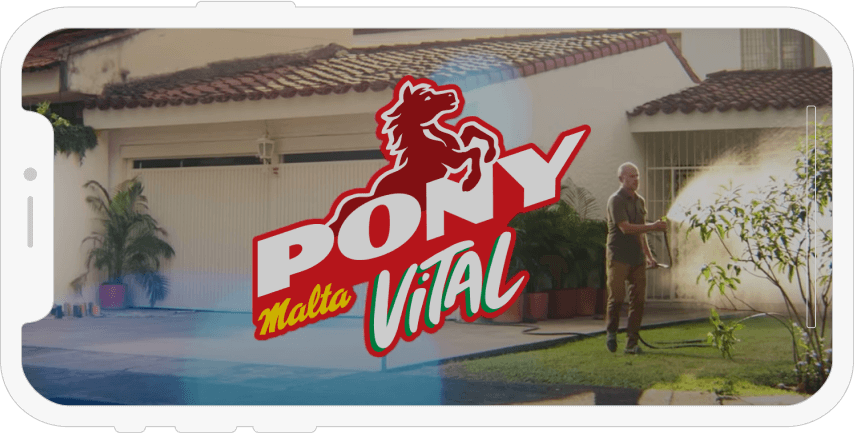 Pony malta vital