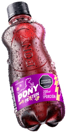 Pony Malta Protein-Up